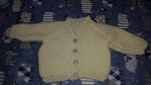 Krysia M's cardi 20180817_114840